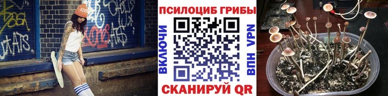 Галлюциногенные грибы MAGIC MUSHROOMS  Саранск 